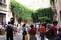 IMG_4193